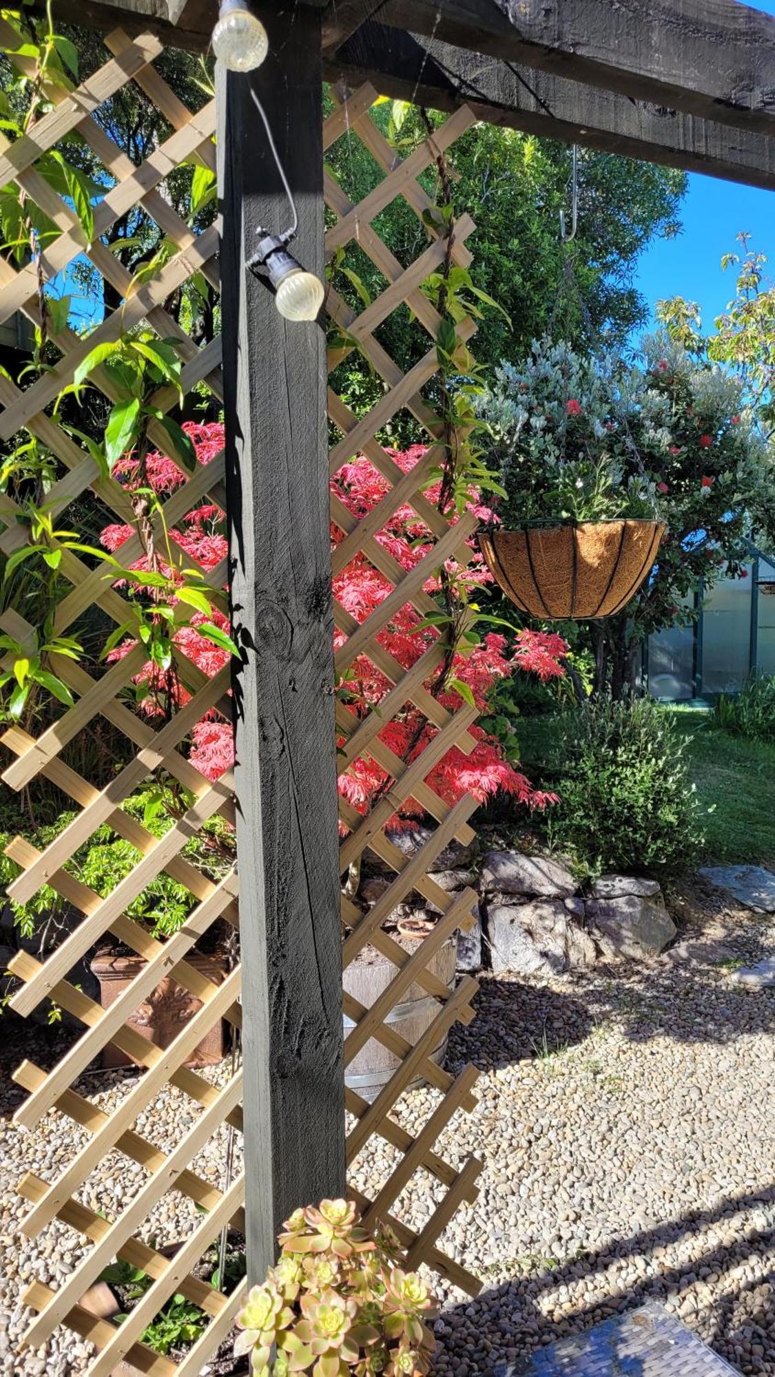Bed and Breakfast Hazelwood Mapua Exterior foto