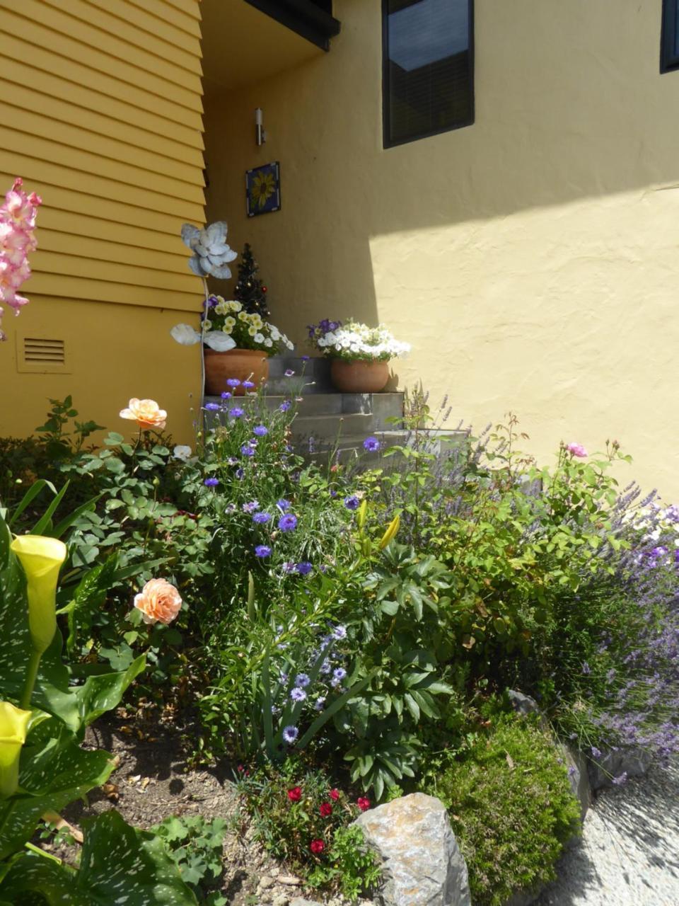 Bed and Breakfast Hazelwood Mapua Exterior foto